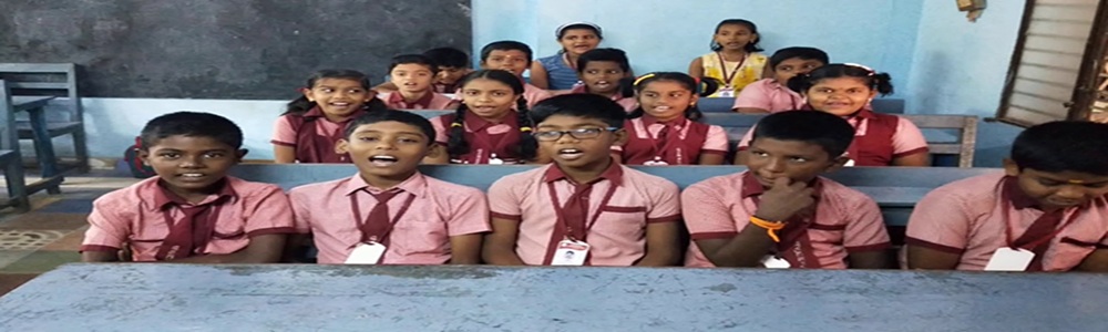 Order roses and flowers